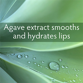 Agave extracts smooths and hydrates lips